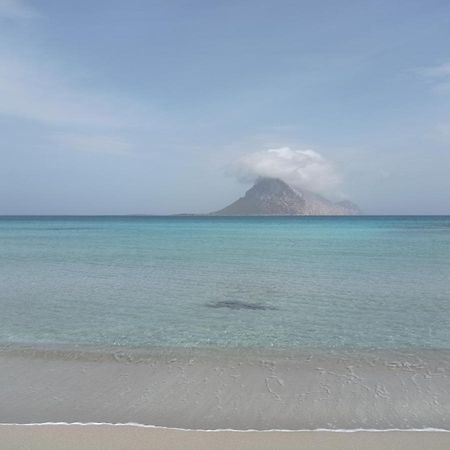 Trilocale A Un Km Dal Mare Βίλα Vaccileddi Εξωτερικό φωτογραφία