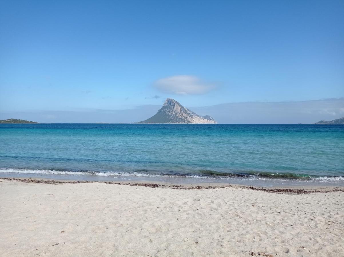 Trilocale A Un Km Dal Mare Βίλα Vaccileddi Εξωτερικό φωτογραφία