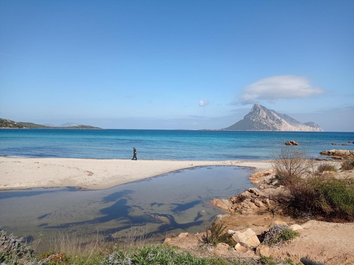 Trilocale A Un Km Dal Mare Βίλα Vaccileddi Εξωτερικό φωτογραφία