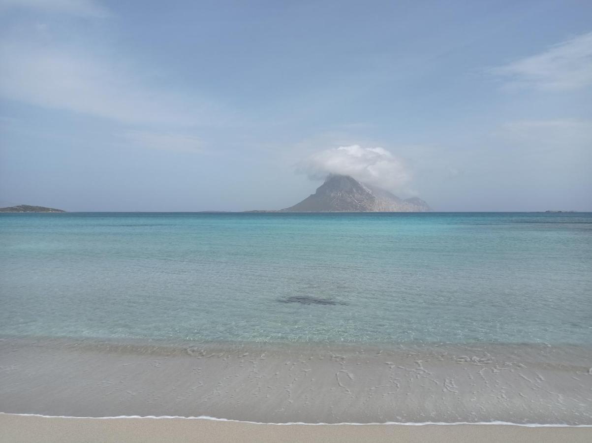 Trilocale A Un Km Dal Mare Βίλα Vaccileddi Εξωτερικό φωτογραφία